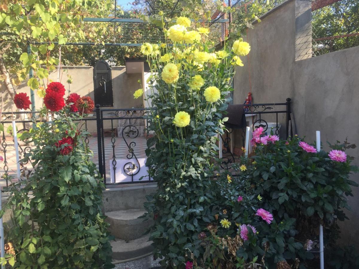 Apartament Sofia Tbilisi Zewnętrze zdjęcie